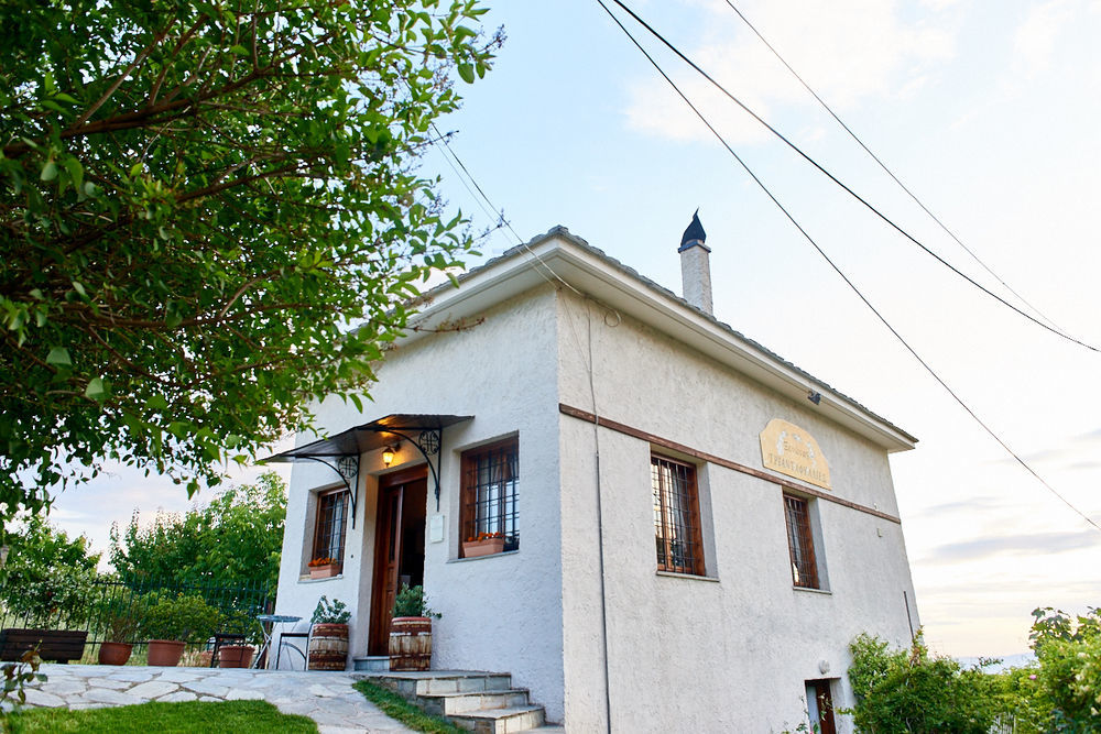 Triantafillies Guesthouse Portariá Kültér fotó
