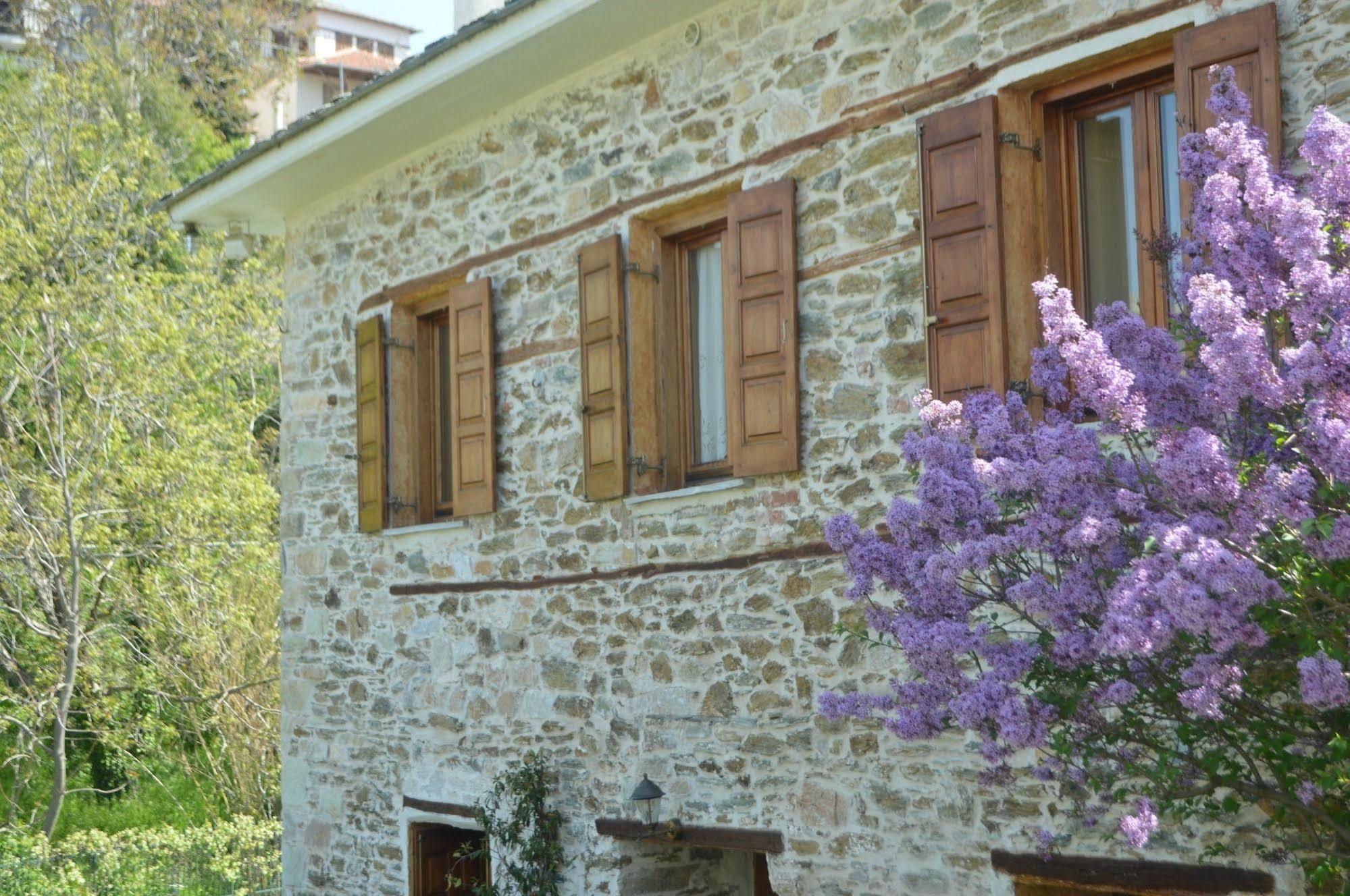 Triantafillies Guesthouse Portariá Kültér fotó