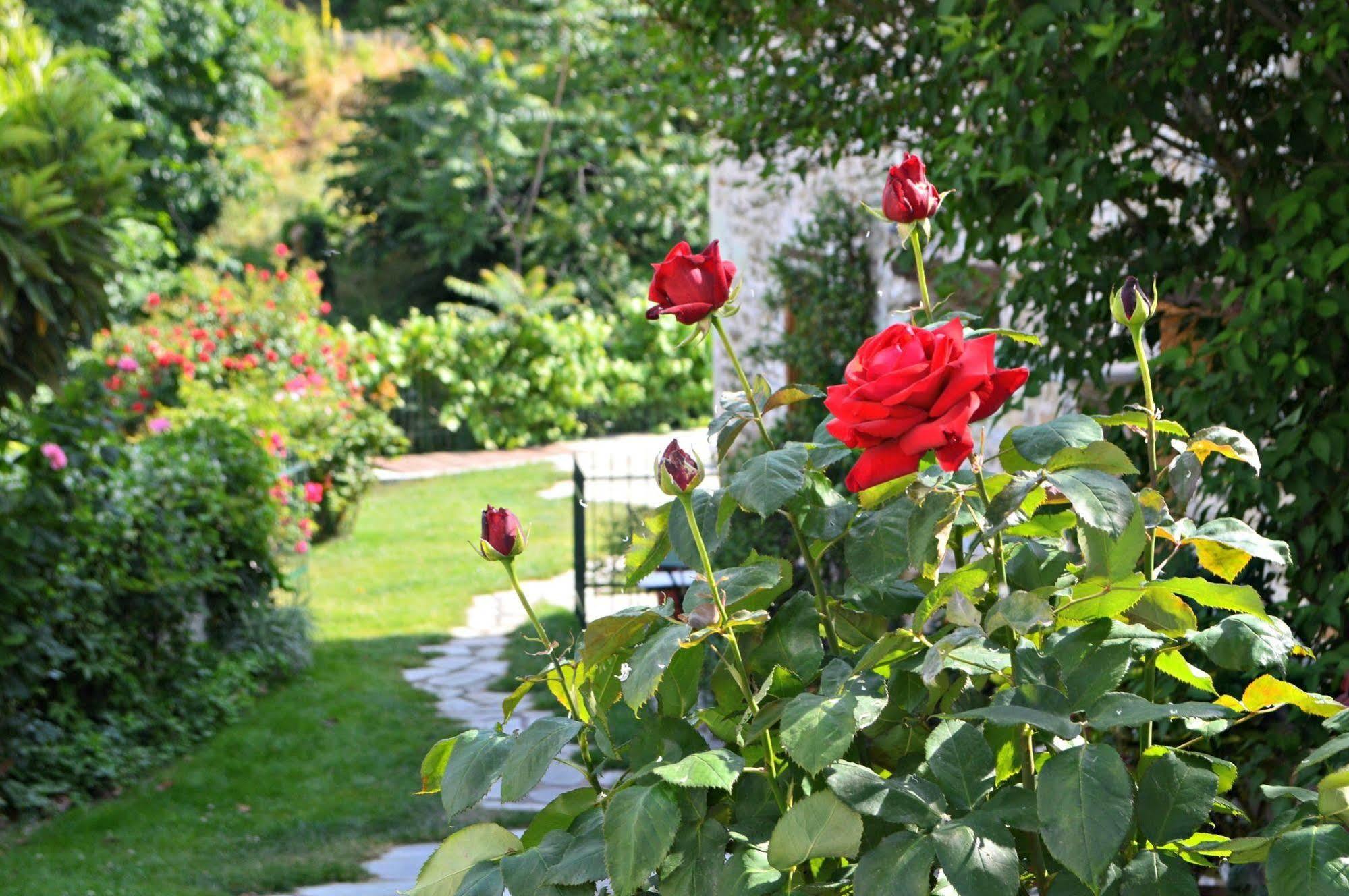 Triantafillies Guesthouse Portariá Kültér fotó