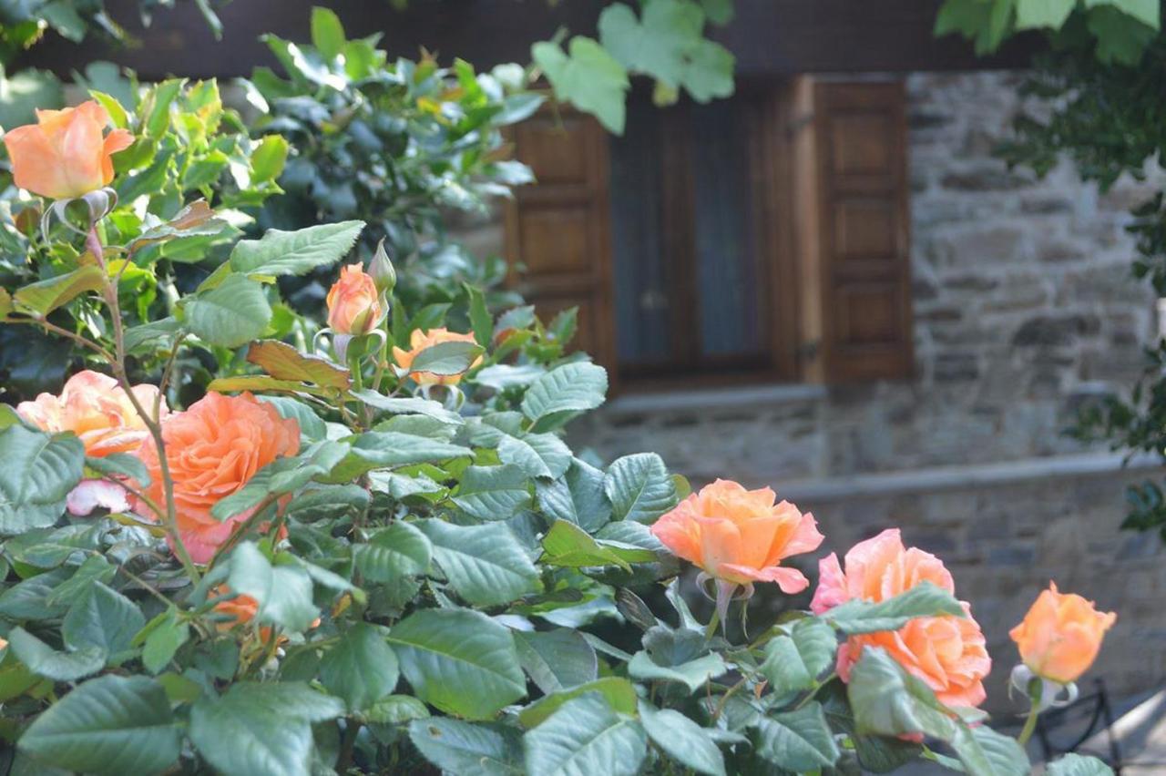 Triantafillies Guesthouse Portariá Kültér fotó